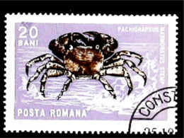 ►  ROMANIA (Crabe Crustacé). PACHIGRAPSUS   Crab   20 BANI  1968 - Crustaceans