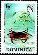 ►  DOMINICA    (Crabe Crustacé)  CYRIQUE PSEUDOTHELPHUSS   Crab    1/2 0,5 Cent - Crustaceans