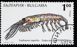 ►  BULGARIA  (Langoute Crustacé)   Lobster    1,00 1995 - Crustaceans