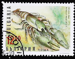 ►  BULGARIA  (Homard  Crustacé)   Lobster    12,00 - Crustaceans