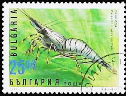 ►  BULGARIA  (Crevette  Crustacé)   Shrimp    25,00. 1996 - Crustaceans