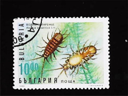 ►  BULGARIA  (Crevette  Crustacé)   Shrimp    10,00. 1996 - Crustaceans