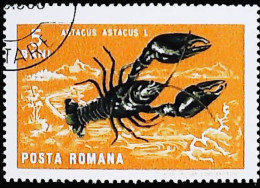 ►  ROMANIA  (Ecrevisse  Crustacé)   Crawfish     5 Bani  1966 - Crustaceans