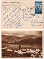 ROMANIA : 1952 - STABILIZAREA MONETARA / MONETARY STABILIZATION - POSTCARD MAILED With OVERPRINTED STAMPS - RRR (am155) - Brieven En Documenten