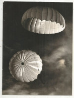 Photographie Maffre, Toulouse, 240 X 180 Mm, Sport , Parachutisme, Parachutiste, Frais Fr 1.95 E - Sporten