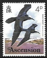 Ascension 1976 MNH ** - Black Noddy  -  Anous Minutus - Möwen