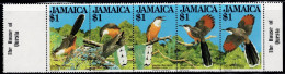 Jamaica 1982, Birds: Jamaikakuckuck/Coucou Jamaïcain/Jamaican Lizard Cuckoo (Saurothera Vetula), MiNr. 550-554 - Cuculi, Turaco