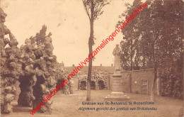 Grotten Van St-Antonius Te Herenthals - Algemeen Zicht Der Grotten - Herentals - Herentals