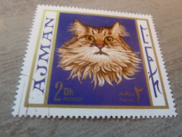 Ajman - Chat - 2 Dirhams - Postage - Polychrome - Oblitéré - 1972 - - Chats Domestiques