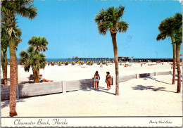 Florida Clearwater Beach White Sands  - Clearwater