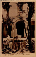 CORDOBA...PATIO DEL MUSEO ARQUELEGICO....CPA ANIMEE - Córdoba