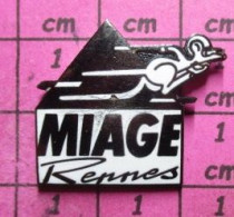 912A Pin's Pins / Beau Et Rare / INFORMATIQUE / MIAGE RENNES KANGOUROU ENSEIGNEMENT - Informatica