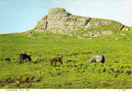 Dartmoor - Le Hay Tor - Dartmoor