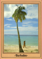 BARBADOS - Strolling Along A West Coast Beach- Photo Tony Lynch AG315-Ex Large Postcard 170mmx120mm - Barbados
