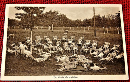 BRUXELLES - VLESENBEKE -  Station D'Education En Plein Air " Adolphe Max "  : La Sieste Obligatoire - Enseignement, Ecoles Et Universités