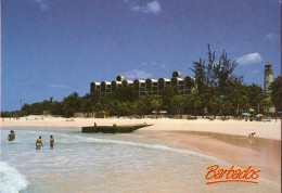 BARBADOS - Hilton Beach & Hotel Also Needham's Point Lighthouse,St.Michael- Ex Large Postcard 170mmx120mm - Barbados