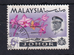 Malaya - Johore: 1965  Flowers    SG169    6c    Used   - Johore