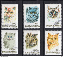 ROMANIA 1993: DOMESTIC CATS Set Of 6 Used Stamps Item N° #1764239503 - Registered Shipping! - Gebraucht