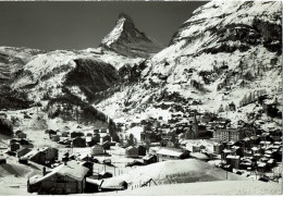 Zermatt 19003 - Matt