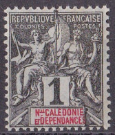 Nouvelle Calédonie - YT N° 41 ** - Neuf Sans Charnière - Unused Stamps