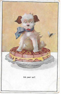 Illustrator - Hans Zahl - Dog Sitting On Cake, On Guard, Chien Assis Sur Un Gâteau, Sur Ses Gardes, Insect, Insecte - Zahl, H.