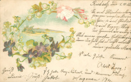 Fantaisie Frise Fleur Rose Violette Paysage étendue D'eau Lac 1902 Gauffrée Gaufrée - Autres & Non Classés