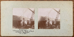 La Guayra Venezuela - Photo Ancienne Stéréo - Embarquement Des Bœufs à Bords Du Bateau Vapeur MARTINIQUE - 1911 - Venezuela