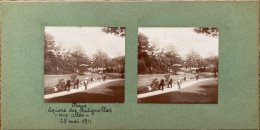 Paris - Photo Stéréo Ancienne - Le Square Des Batignolles , Une Allée - 17ème - Mai 1911 - Arrondissement: 17