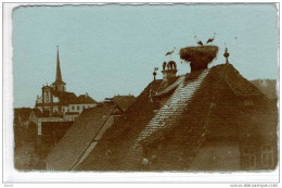 67-732 LAUTERBOURG Carte Photo - Lauterbourg