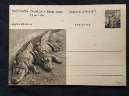 1956 CDV 130 Zoo De Prague ** Aligator - Cartoline Postali