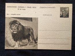 1956 CDV 130 Zoo De Prague ** Lion - Postkaarten