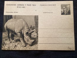 1956 CDV 130 Zoo De Prague ** Rhinocéros - Postales