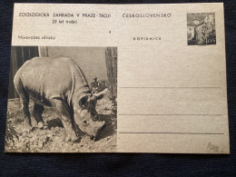 1956 CDV 130 Zoo De Prague ** Rhinocéros - Cartoline Postali