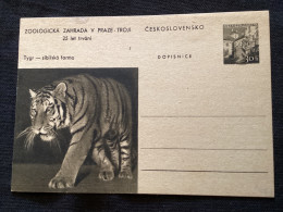 1956 CDV 130 Zoo De Prague ** Tigre - Cartoline Postali