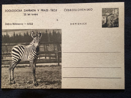 1956 CDV 130 Zoo De Prague ** Zèbre - Postcards