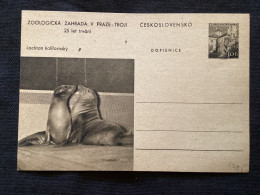 1956 CDV 130 Zoo De Prague ** Otaries De Californie - Postkaarten