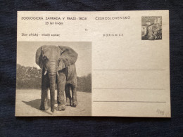 1956 CDV 130 Zoo De Prague ** Éléphant D’Afrique - Postales