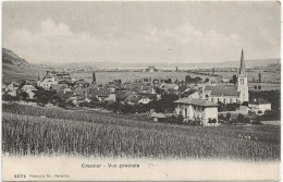 Cressier Vue Generale - Cressier