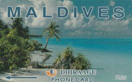 Maldives, 6MLDA, Coconut Palms, Maldives, 2 Scans - Maldive