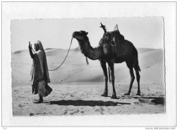 AFRIQUE SCENES ET TYPES La Prière Au Désert - Non Classés