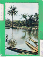 AFRIQUE EN COULEUR PAYSAGE AFRICAIN - Non Classés