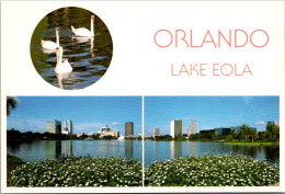 Florida Orlando Multi View Lake Eola And White Swans - Orlando