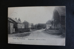 P-B 38 / Liège - Vallée De L'Amblève - Borgoumont - Route De La Gleize   / 190? - Amel