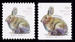 Etats-Unis / United States (Scott No.5544-45 - Rabbit) [**] Regular And Coil - Unused Stamps