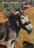 AK 152893 DONKEY / ESEL - Anes