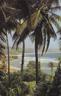 AK 152922 BARBADOS - The Bathsheba Coast - Barbados