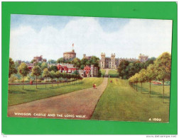 WINDSOR CASTLE AND THE LONG WALK - Windsor