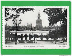 SEVILLA PATIO DE BANDERAS Y LA GIRALDA - Sevilla