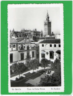 SEVILLA PLAZA DE DONA ELVIRA - Sevilla