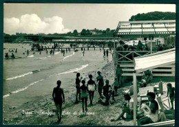 MS093 - TRANI - SPIAGGIA - LIDO DI COLONNA - ANIMATA 1950 CIRCA - Trani